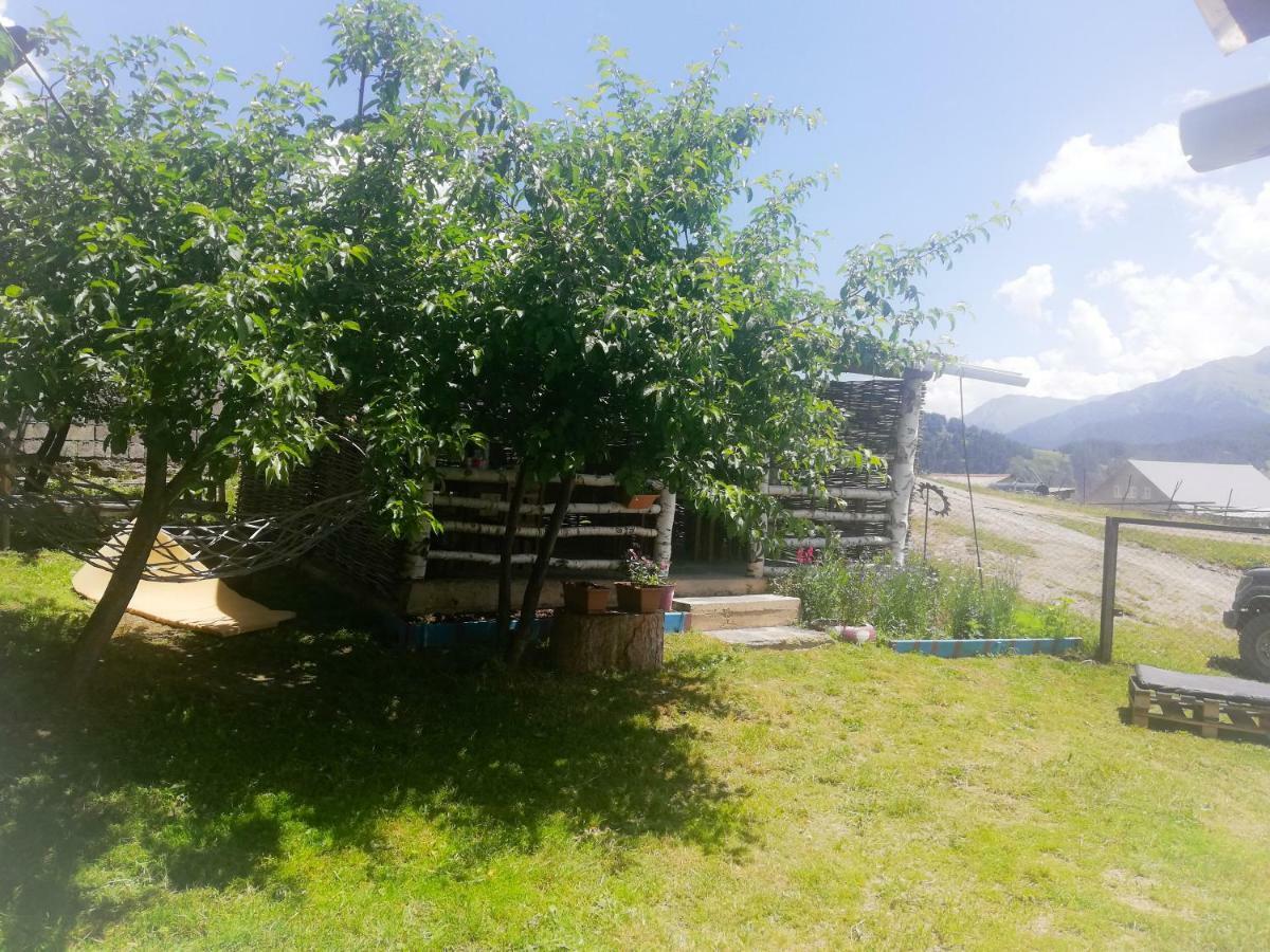 Guest House Old Omalo 外观 照片